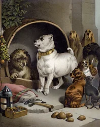 Alexander und Diogenes